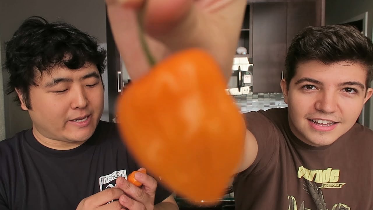 HABENERO PEPPER CHALLENGE!