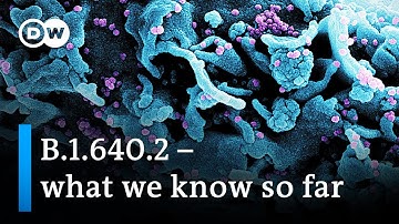 Even more mutations than omicron: Is the new COVID variant a cause for concern? | DW News