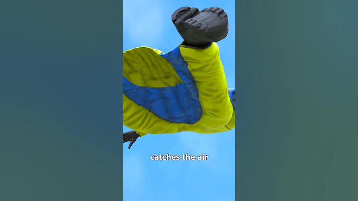 How Wingsuit Flying Works 😱