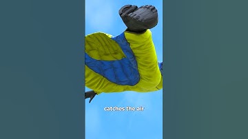How Wingsuit Flying Works 😱