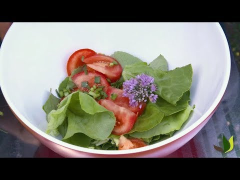 recette-de-salade-d'été-avec-l'allium-quattro---truffaut