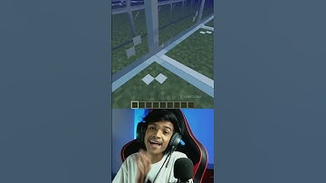 Swift Sneak Vs Dolphin Grace 🤯 #shorts #minecraftshorts