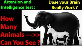 Brain Games ( brain teasers ), Easy, Level 0. screenshot 3