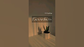 سوره الأنبياء || احمد خضر 🤎🤎.
