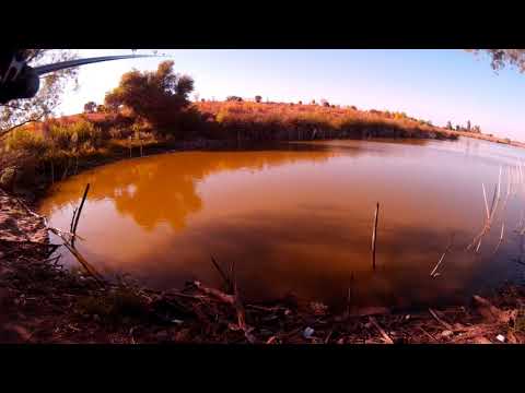 Fresno H Pond Bass Fishing Youtube