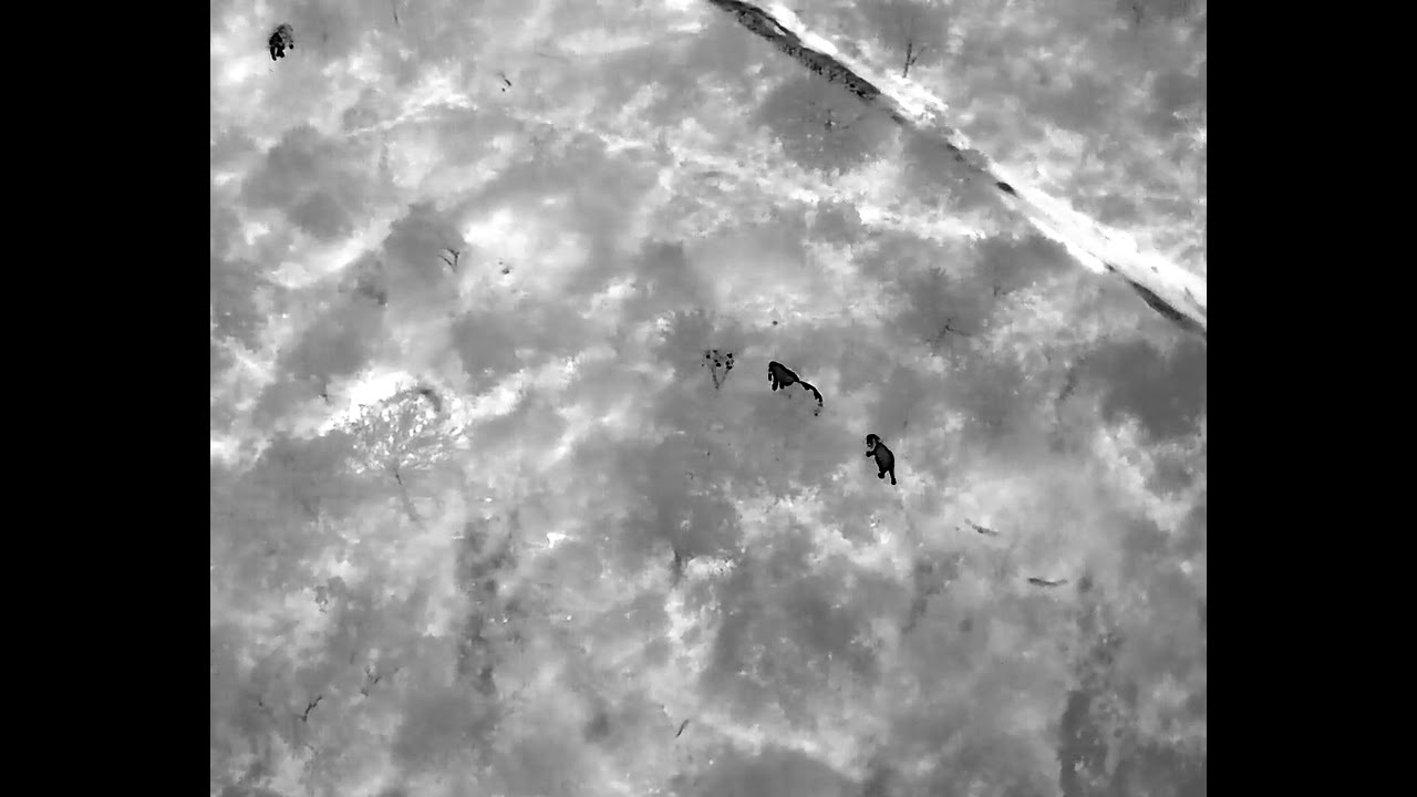 We move into the lake Jipe wildlife corridor north of Mkomazi NP.