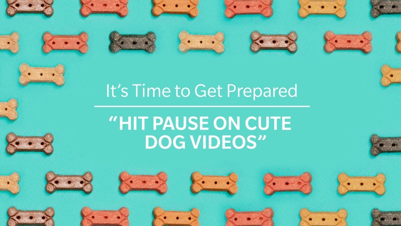 homeowners insurance state farm National Preparedness Month – Pet Videos