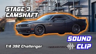 Dusterhoff Racing Stage 3 Cam Sound: TA Challenger