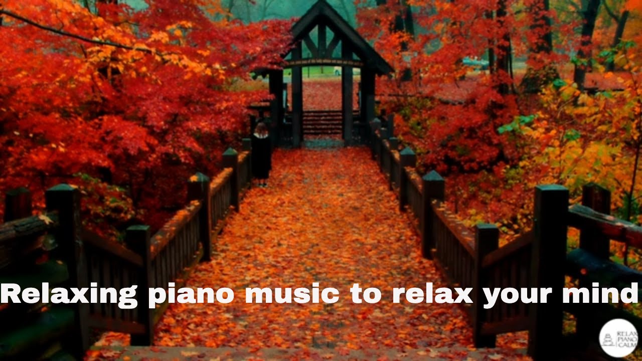 Relaxing piano music to relax your mind Free your mind
