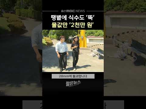 연일 땡볕에 식수도 '뚝'‥물값만 '2천만 원'