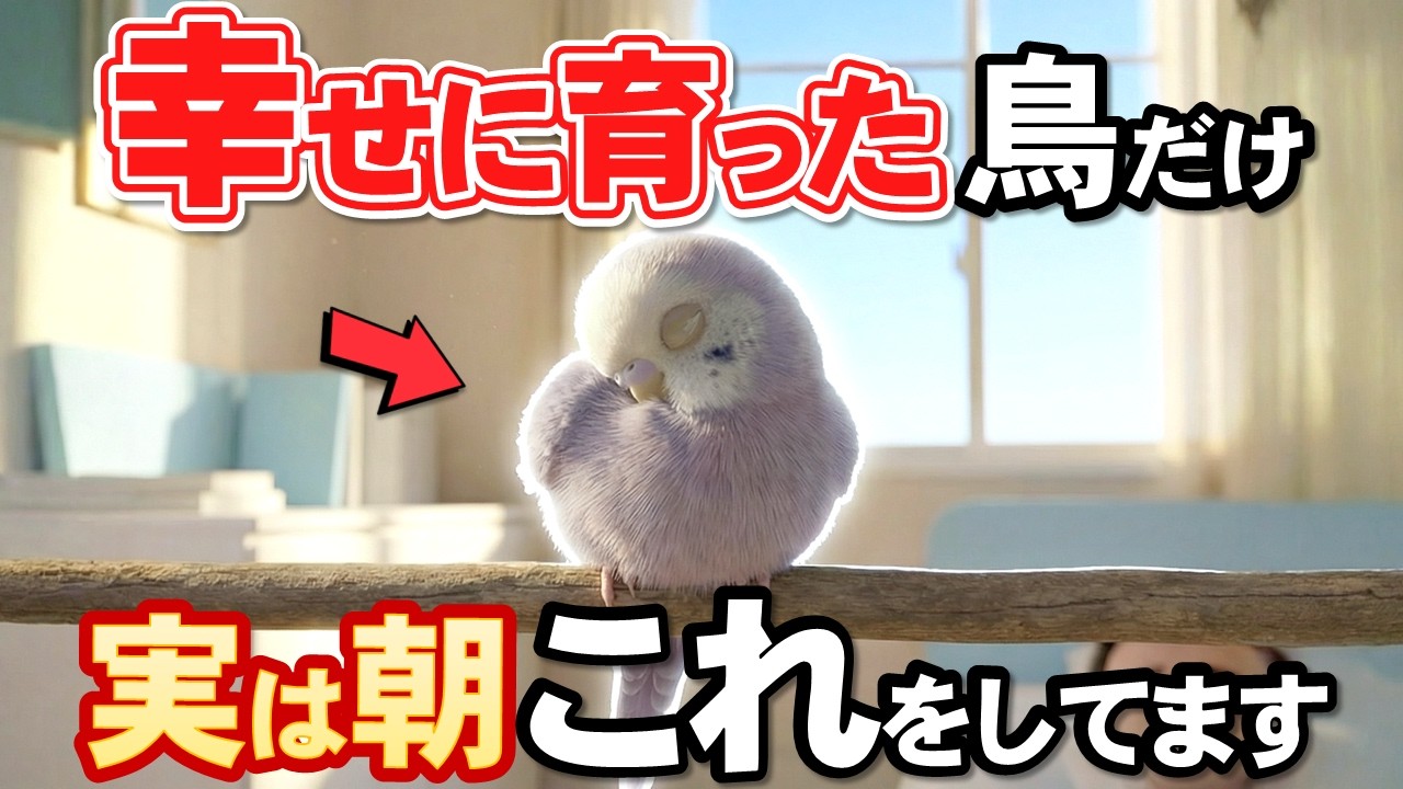朝これをしてたら愛されてる証拠。幸せな鳥が見せる仕草3選【インコの