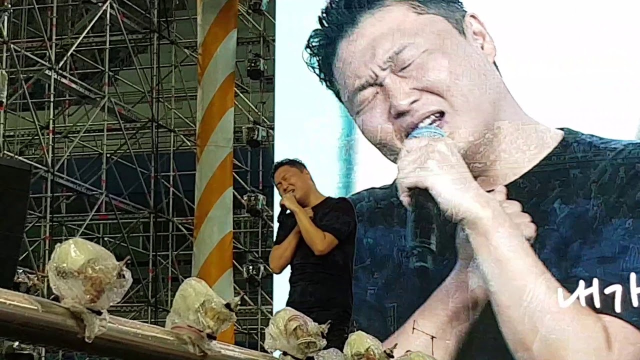 2019 PSY SUMMERSWAG 싸이 흠뻑쇼 대전 막공 막곡 Bravo my life