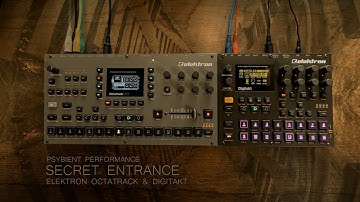 secret entrance ... elektron octatrack & digitakt ... psybient, ambient