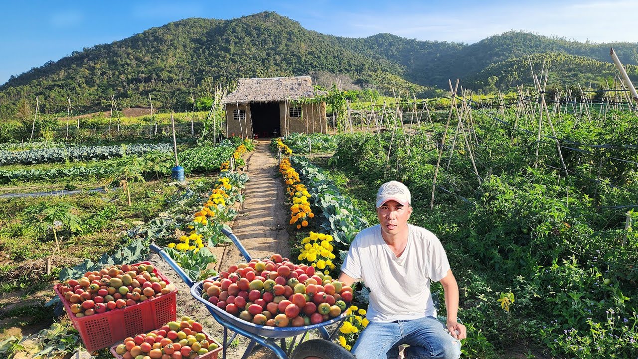 99 Days of Gardening at the Foot of the Mountain