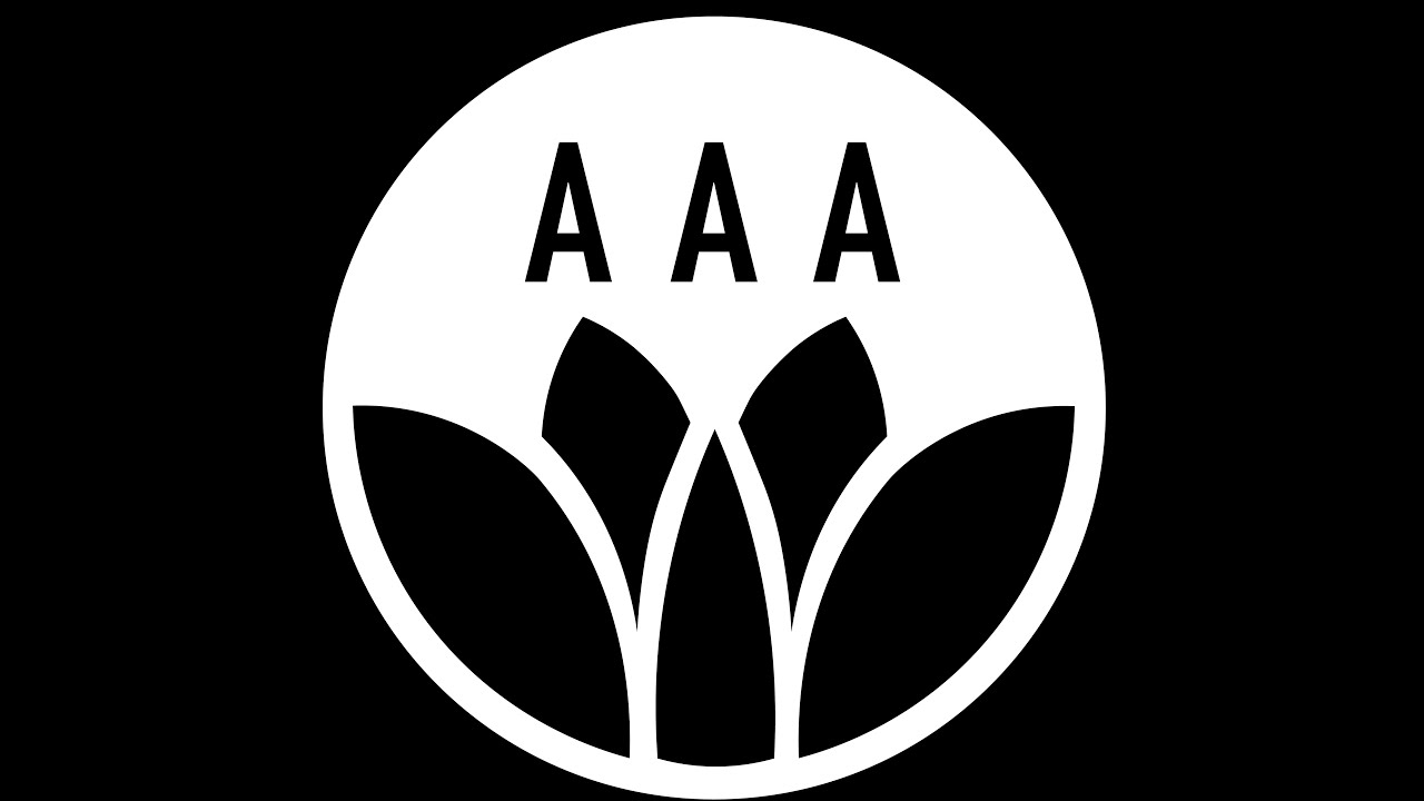 Asian American Association at UC Davis | Fall 2019 Recap 