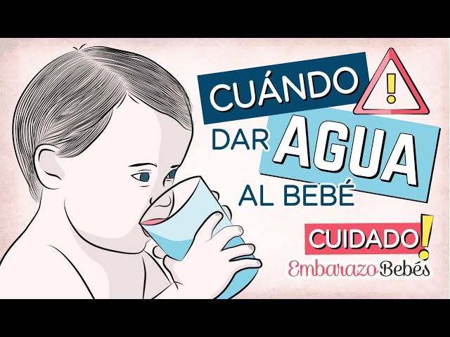 💧CUÁNDO se empieza a dar AGUA a los BEBÉS ⚠️ Qué pasa si se da