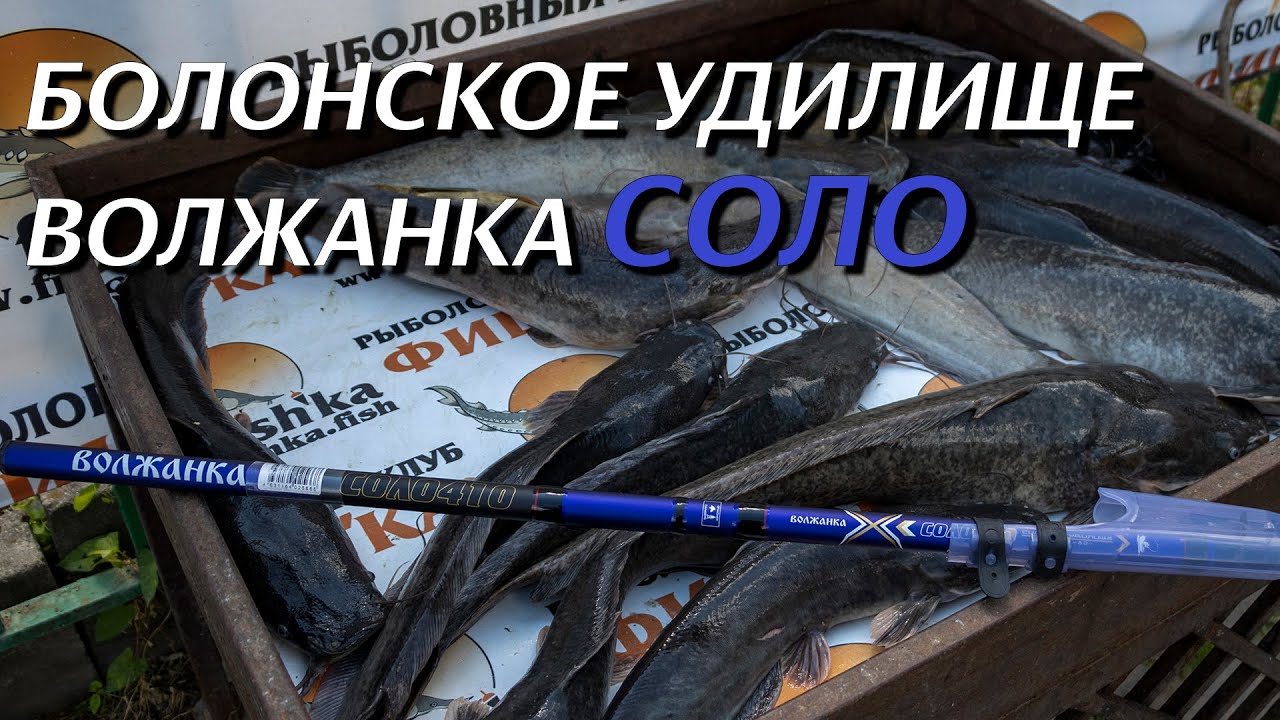 Удочка для путешествий. Волжанка Соло.