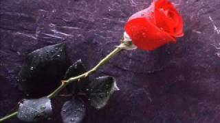 Vedat Balkaya - Telli Turnam