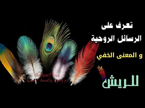 فيديو: ماذا يعني الريش؟