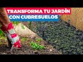 Cómo transformar tu jardín con cubresuelos