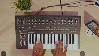 This is my NEW FAVORITE Toy! | Building A Patch From Scratch On The Moog Messenger |