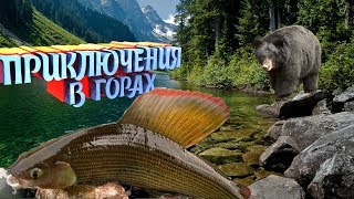 картинка: Необыкновенное Путешествие в горную Шорию или в поисках хариуса