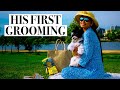 OUR COCO'S FIRST GROOMING + AMAZING NEWS! - VLOG 62 | Emem Ibanez