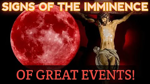 Prof O'Connor: Prophecy Being Fulfilled: The Synod...