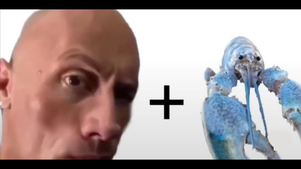 Offensive memes that if you laugh you lobster