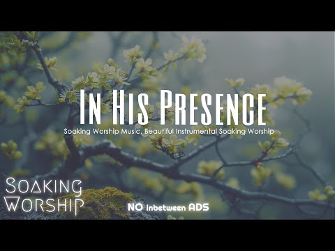 Incredible Instrumental Worship