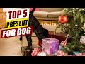Top 5 Dog Gifts Your Pup Will Love