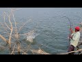 unique Fishing style 🎣 Fisher Man Catching Single Hook Big Rohu Fishes to Hunting