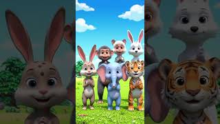 animals dancing moment #funnyshorts #fun for kids #shorts