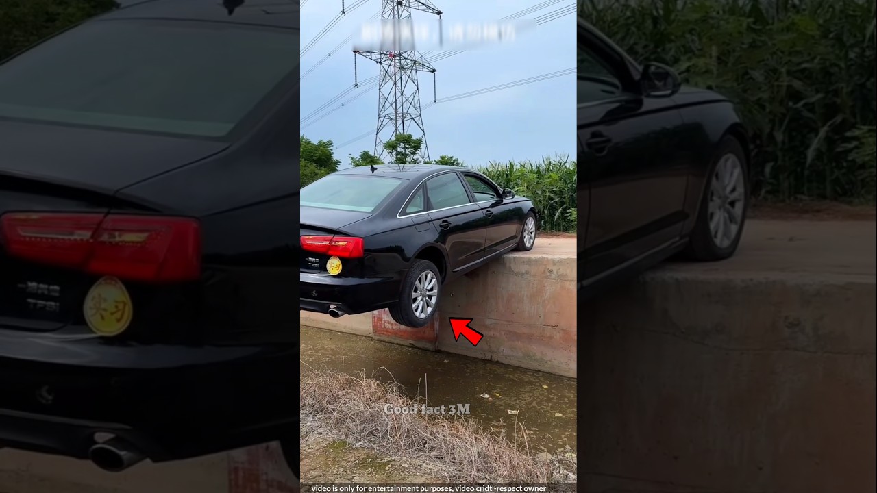 the girl's amazing car driving talent !