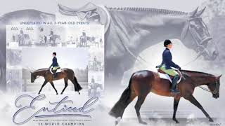 ENTICED & AMBER HANSON PICKARD - 2021 ALL AMERICAN QUARTER HORSE CONGRESS