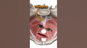 Is This Causing Your Tailbone Pain? 🤔