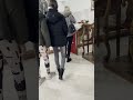 Божићни благослови