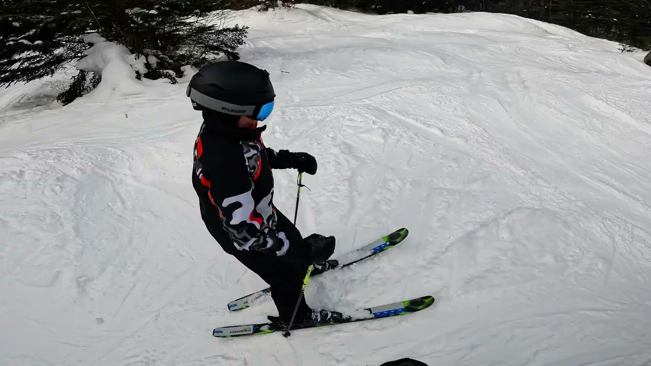 Bretton Woods Mellow Glade (Black Forest)