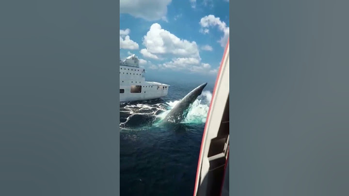 shark fish attack, ship caneda,#short #ytshort #viral #video
