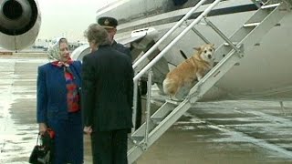 Queen Elizabeth with her corgis at Heathrow Airport