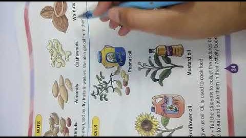 Class 2 Evs Chapter 3 Our food Part-3