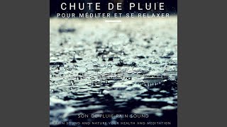 Son De Pluie & amp; Chant D & #039;oiseaux