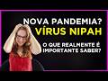 Vírus Nipah nas manchetes: é risco real ou só pânico?
