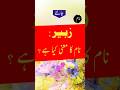 Zubair Name Meaning In Urdu Zubair Shots Youtubeshorts