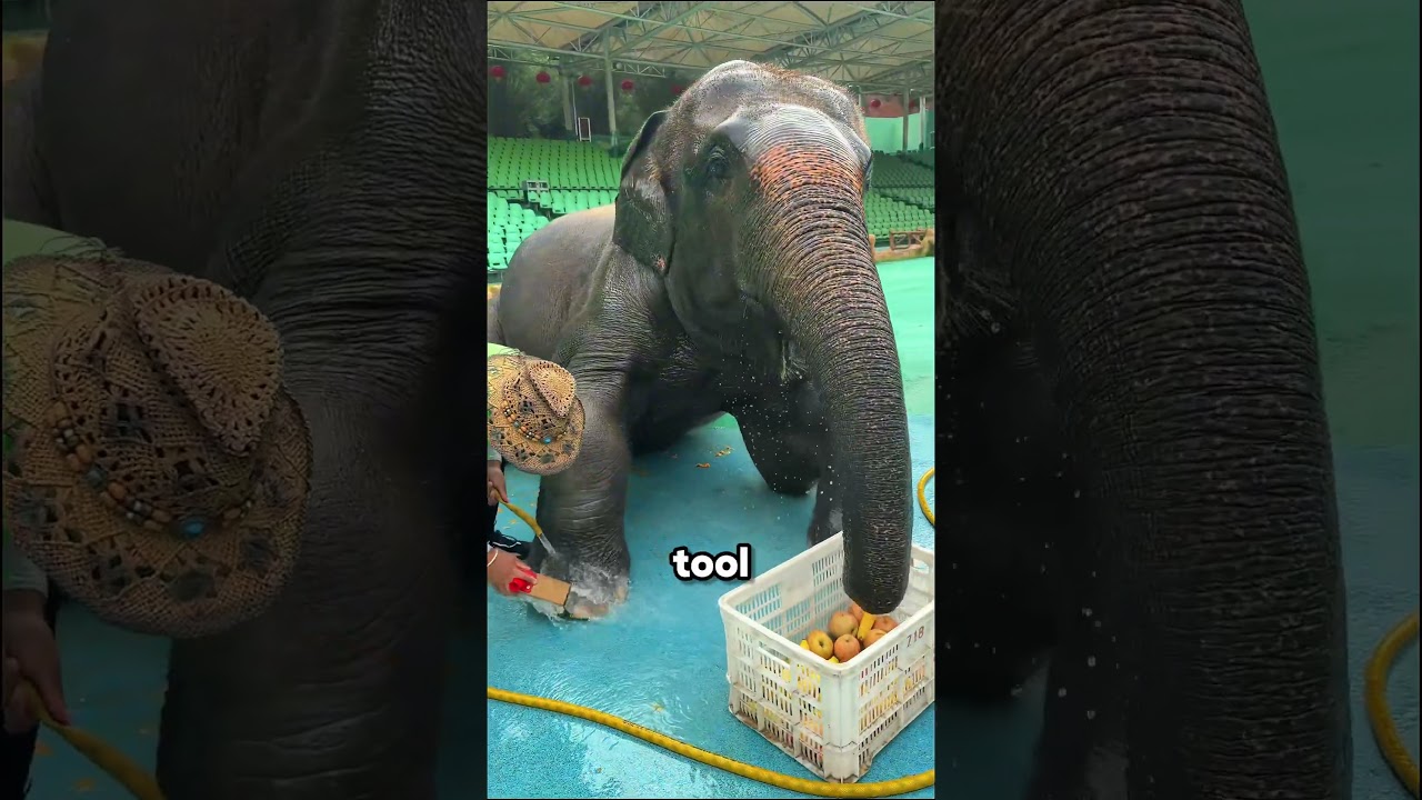 This Girl Took the Best Photo of Her Life 📸👧❤️