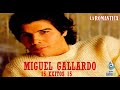 15 Éxitos Románticos de MIGUEL GALLARDO (Colección de LA ROMÁNTICA MX)