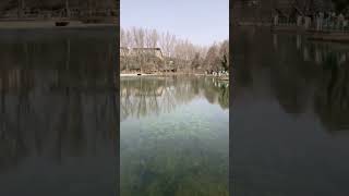 morocco explore travel trip nature  maroc ifrane  aventure shorts reels