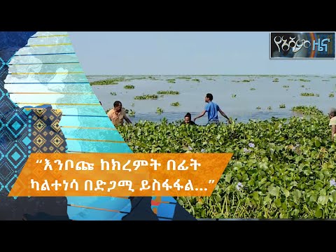 ቪዲዮ: ከክረምት በፊት መሰማሪያዬን ማጨድ አለብኝ?