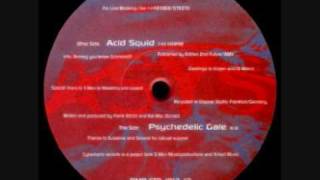 Asys - Acid Squid (CLASSIC 1996) chords