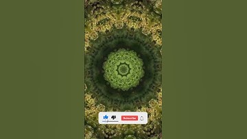 #shorts | Root Chakra Activation in 5 seconds: Muladhara Bliss | 396Hz Meditation